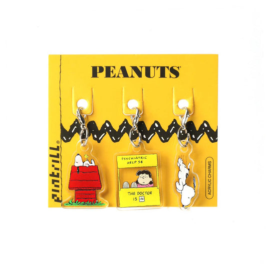 Peanuts Mini Acrylic Charm Set