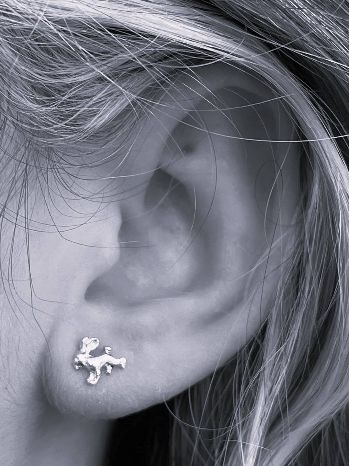 Rabbit Earrings - sterling silver Natural History