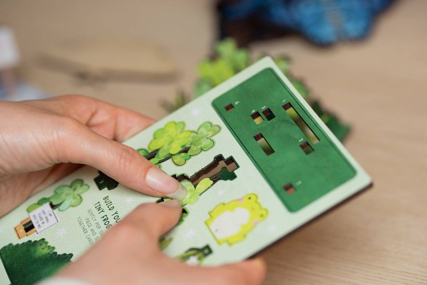 PLEASE BE NICE TO ME FROG POP OUT CARD
