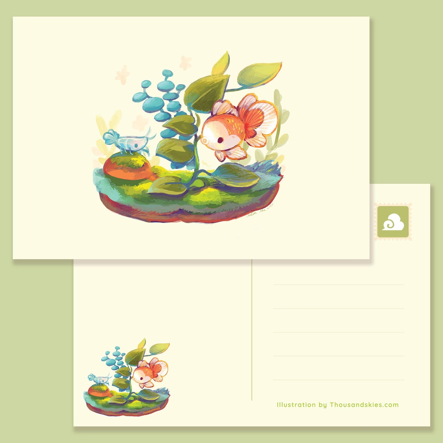 Postcard Oranda and Shrimp