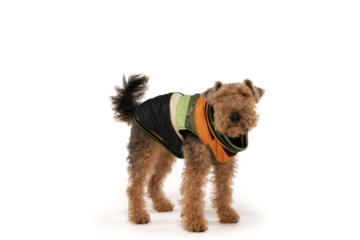 Black Chevron Dog Coat
