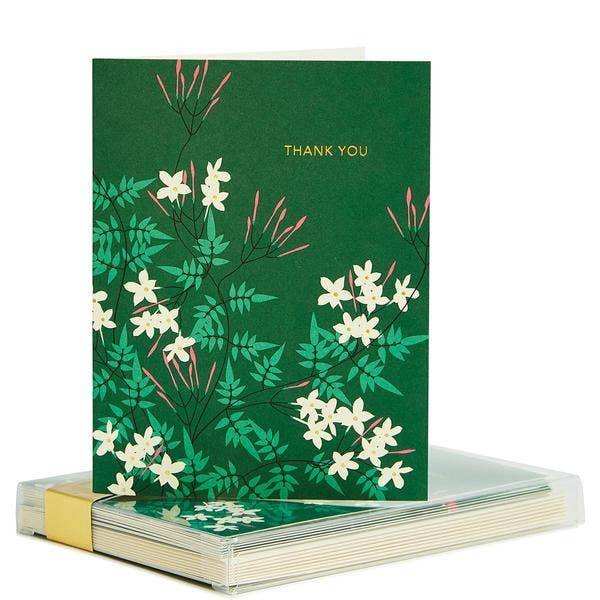 INDIVIDUAL #3225 Jasmine