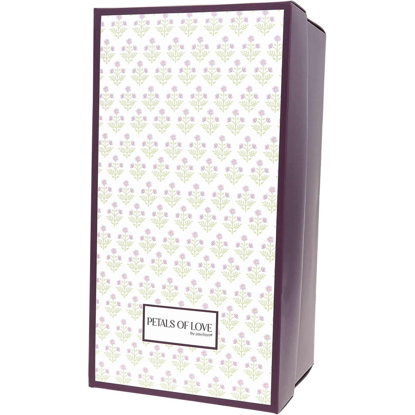 Sip & Celebrate - Gift Boxed 11 oz Wine Glass