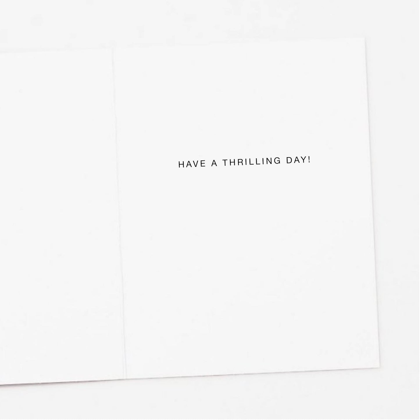 Roller Coaster Birthday Greeting Card