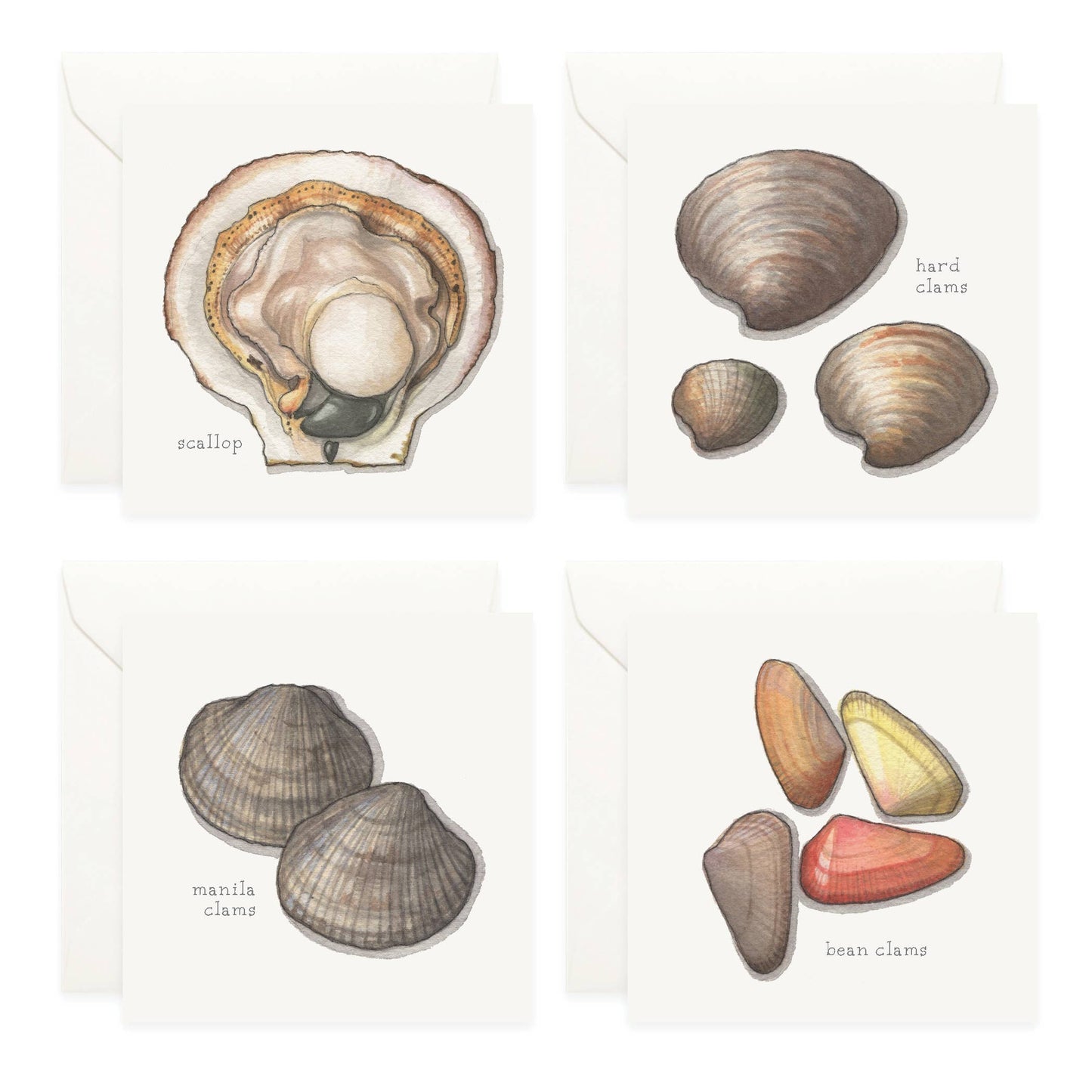 Bivalves Mini Card Assorted