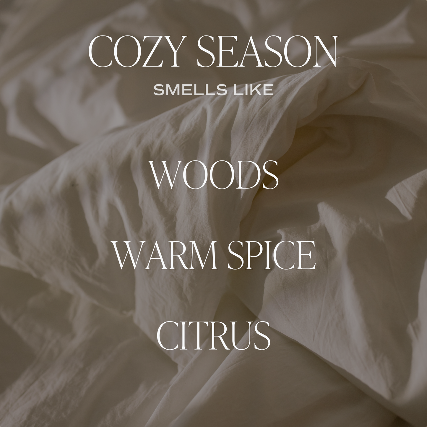 Cozy Season 11 oz Soy Candle - Christmas Decor & Gifts