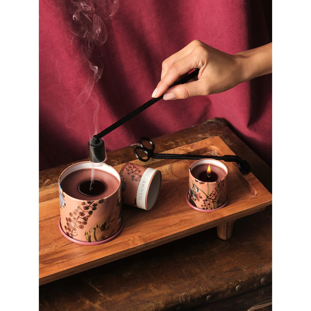Illume Terra Tabac Candle - Various Sizes