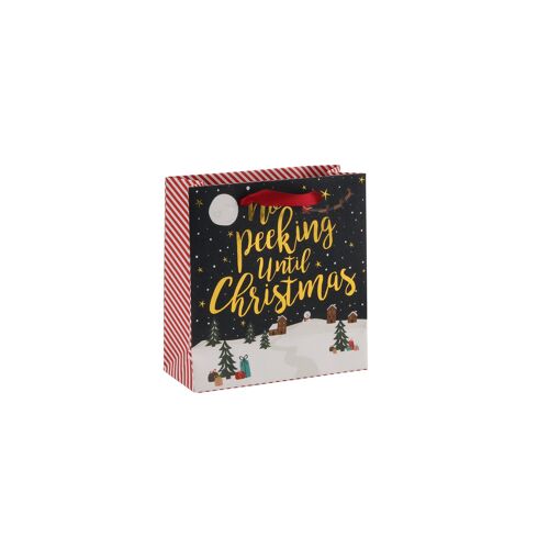 No Peeking Sm Gift Bag