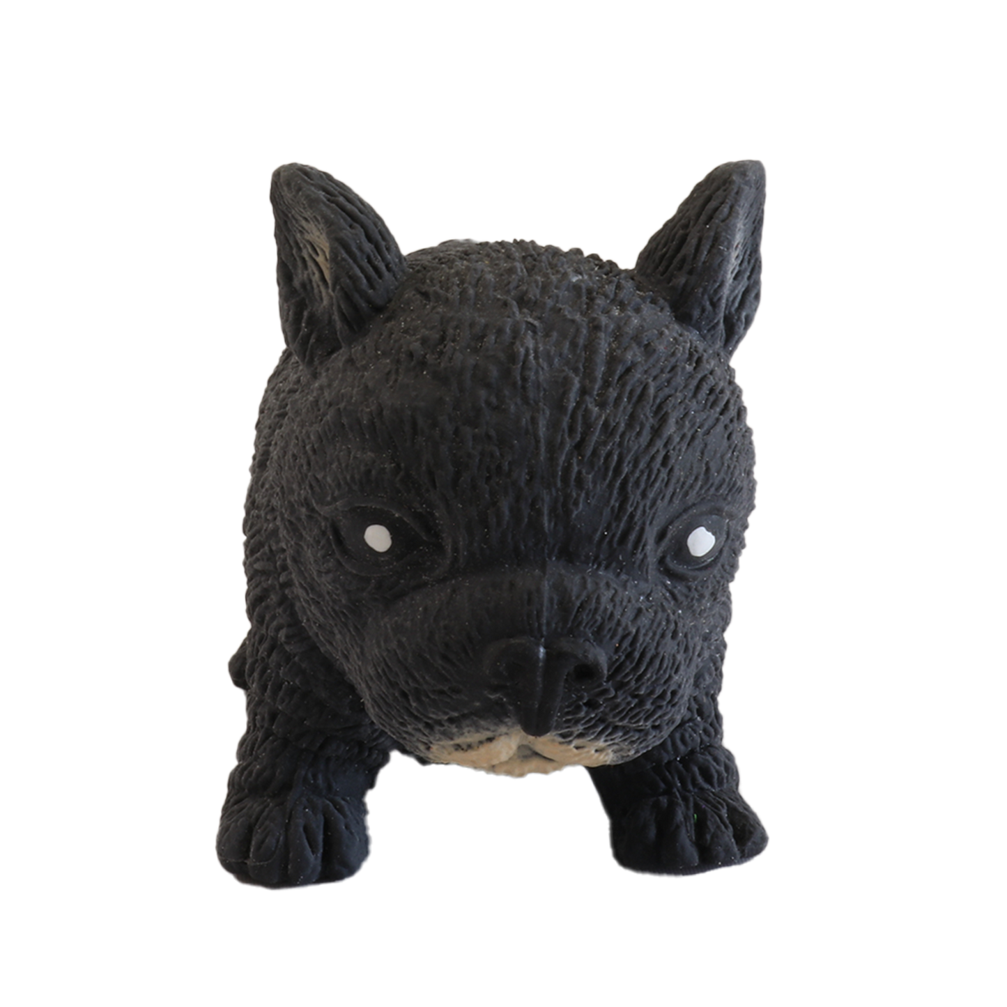 Stretchi Bulldog