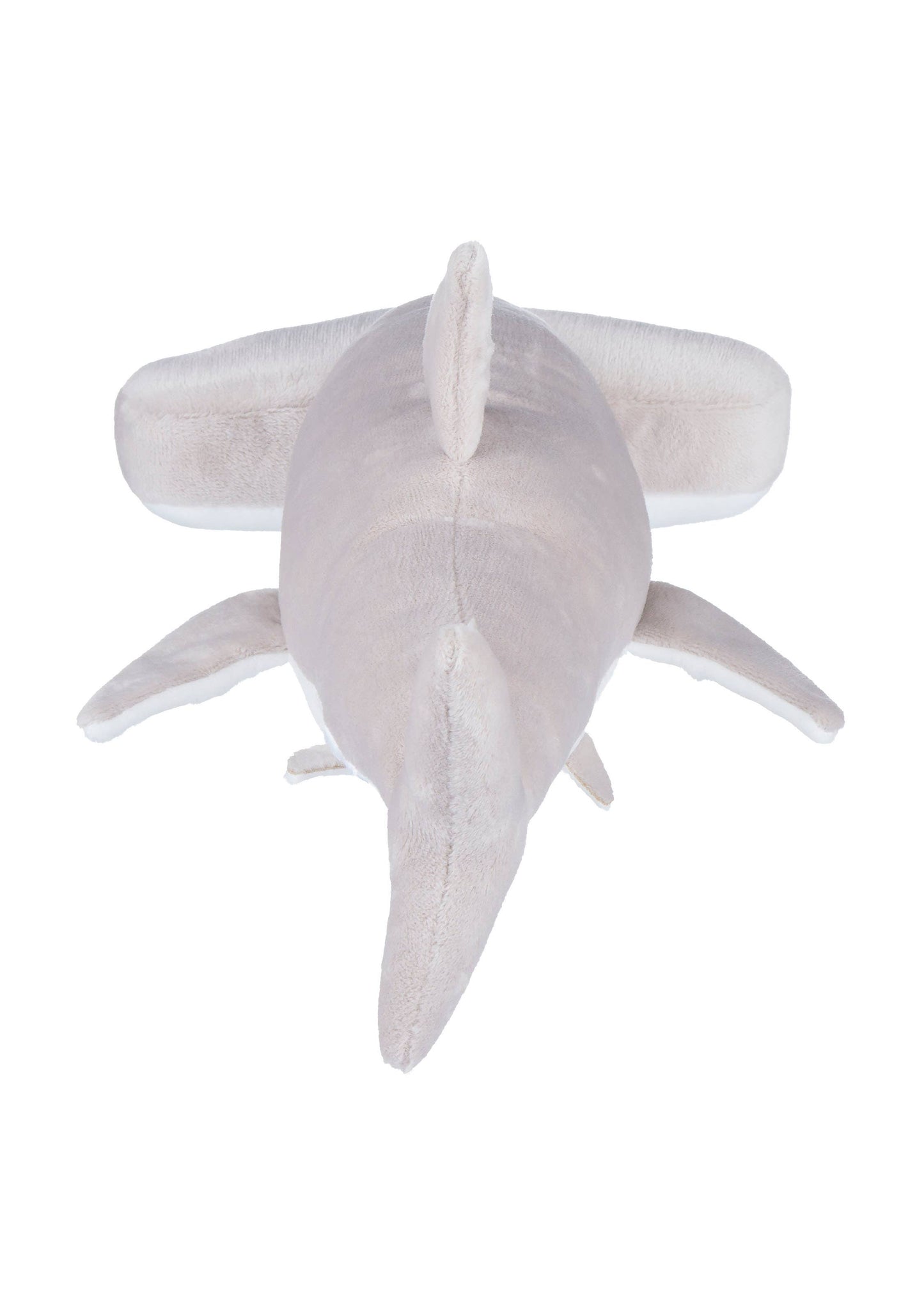 Hammerhead Shark