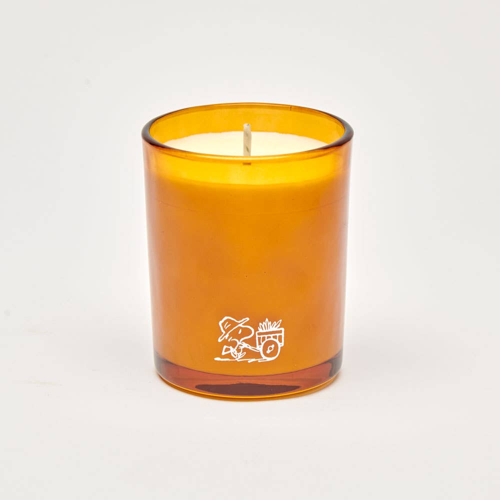 Peanuts Candle - Blooms