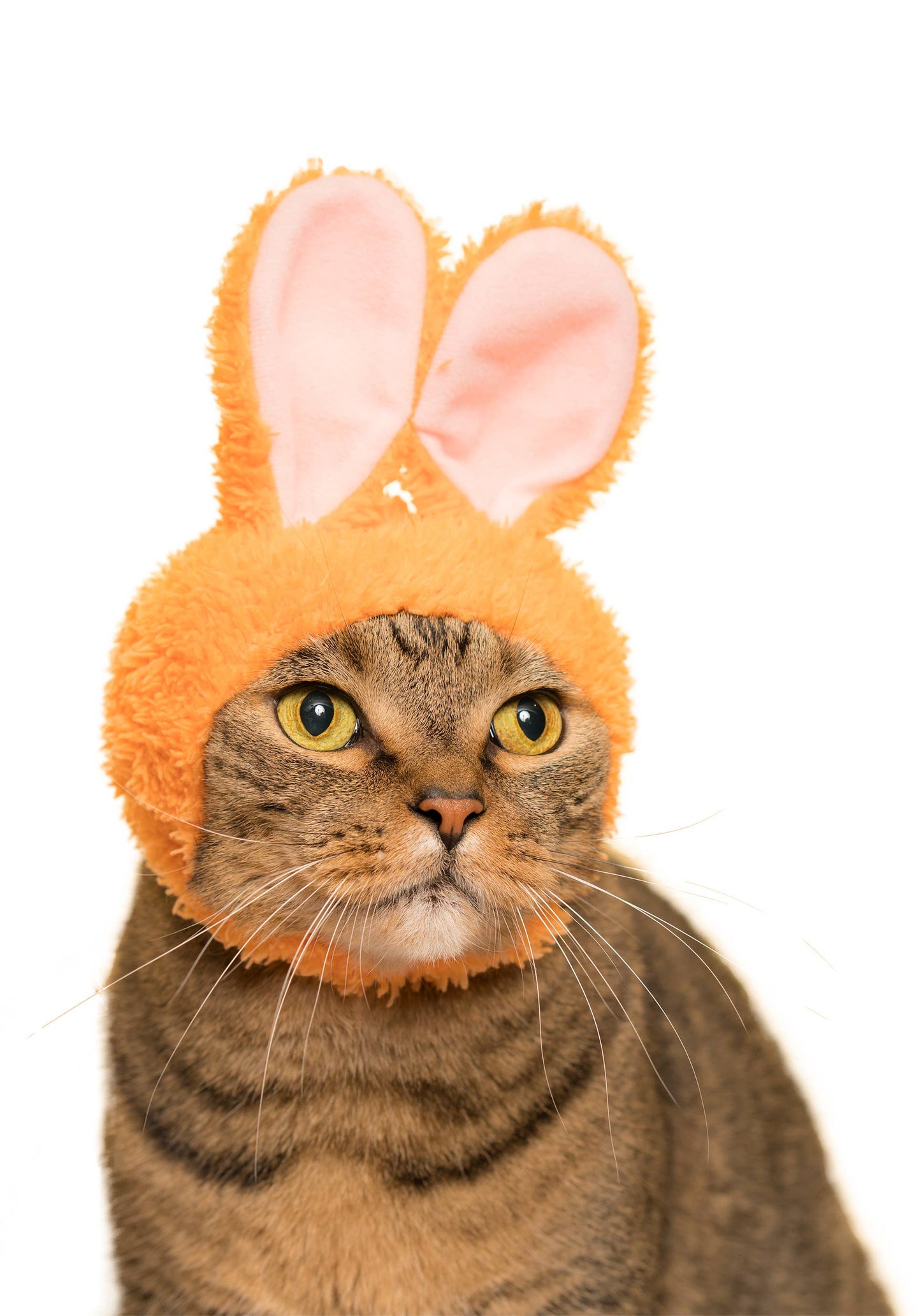Kitan Club Cat Cap Blind Box - Rabbit