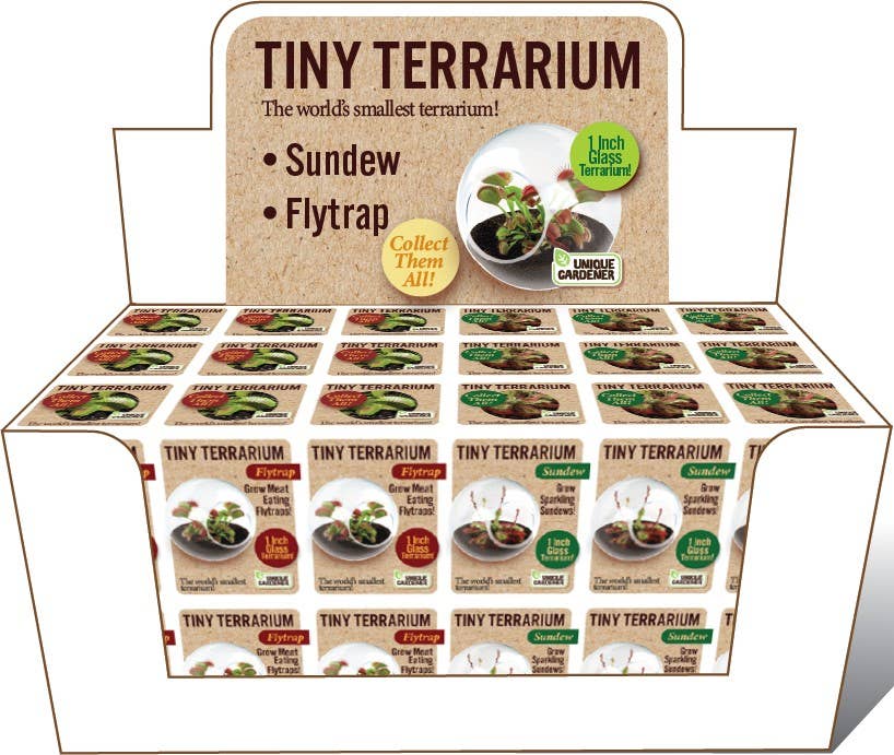 Tiny Terrarium Carnivorous Glass Terrarium