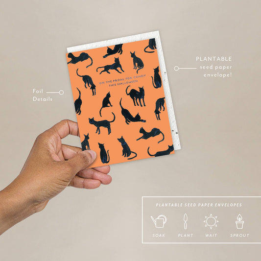 Black Cats - Halloween Card