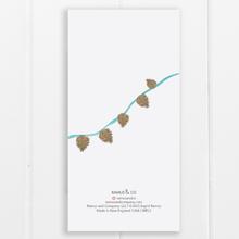 Something Old, New, Borrowed and Blue - Long Card