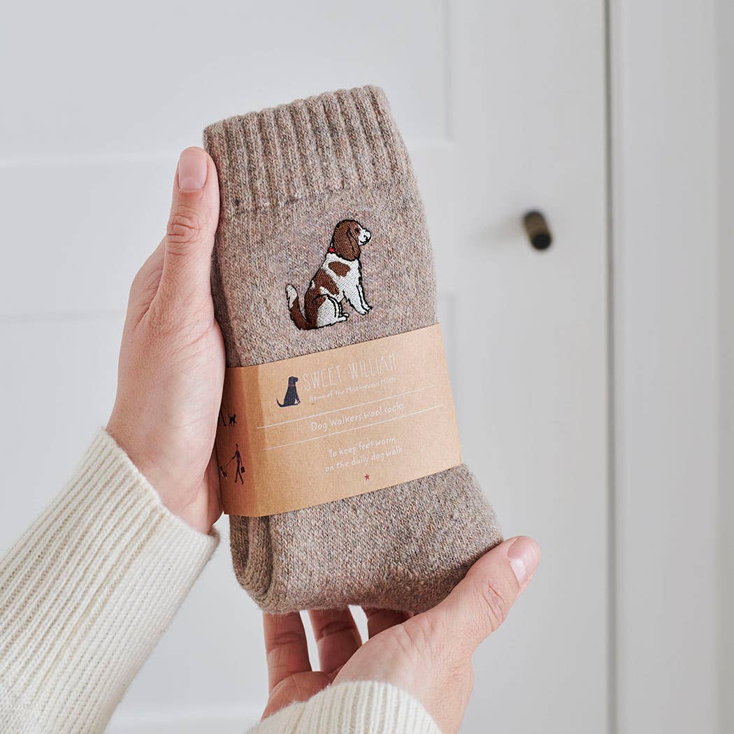 Dog Walking Socks - Cavalier King Charles Spaniel