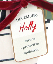 Holly Floral Pop-up Card with Bow Embellishment