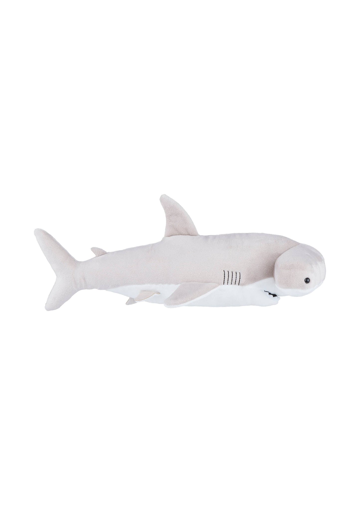 Hammerhead Shark