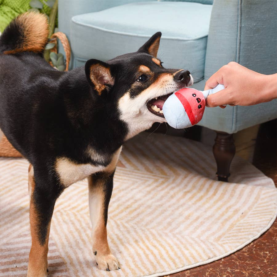 HugSmart Pet - Picnic Time | Backyard Picnic - Plush Toy