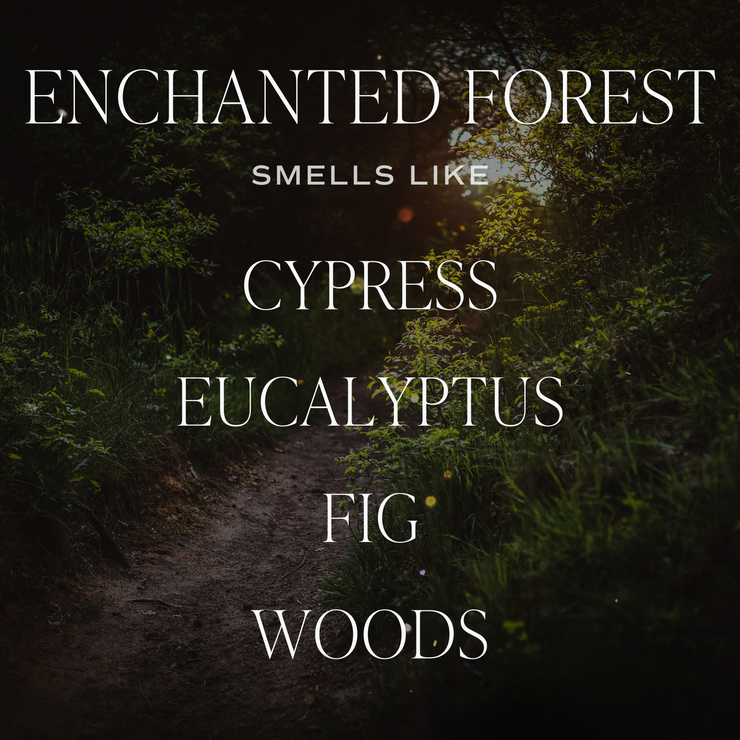 Enchanted Forest 15 oz Soy Candle, Matte Jar