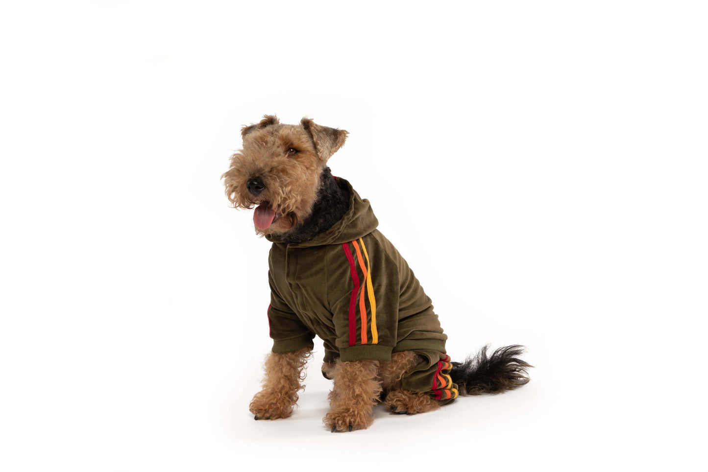 Olive Velour Dog Jogger