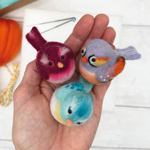 Load image into Gallery viewer, Needle Felting Kit, Baby Birds
