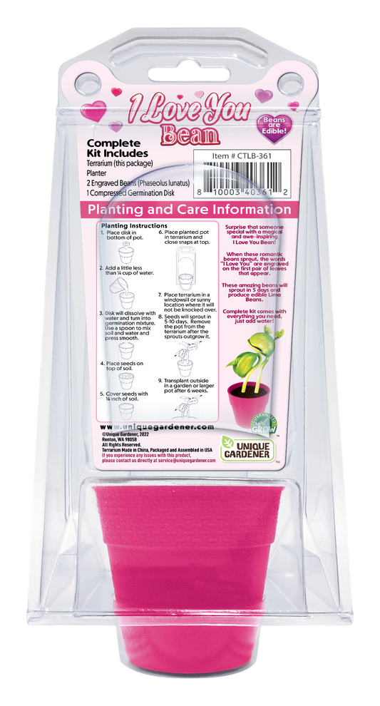 I Love You Bean Terrarium