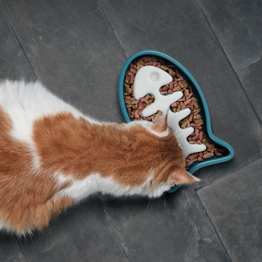 Howligans - Slow Feeder Fish