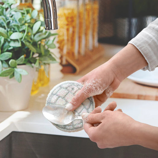 Sponges - Dishco Fever