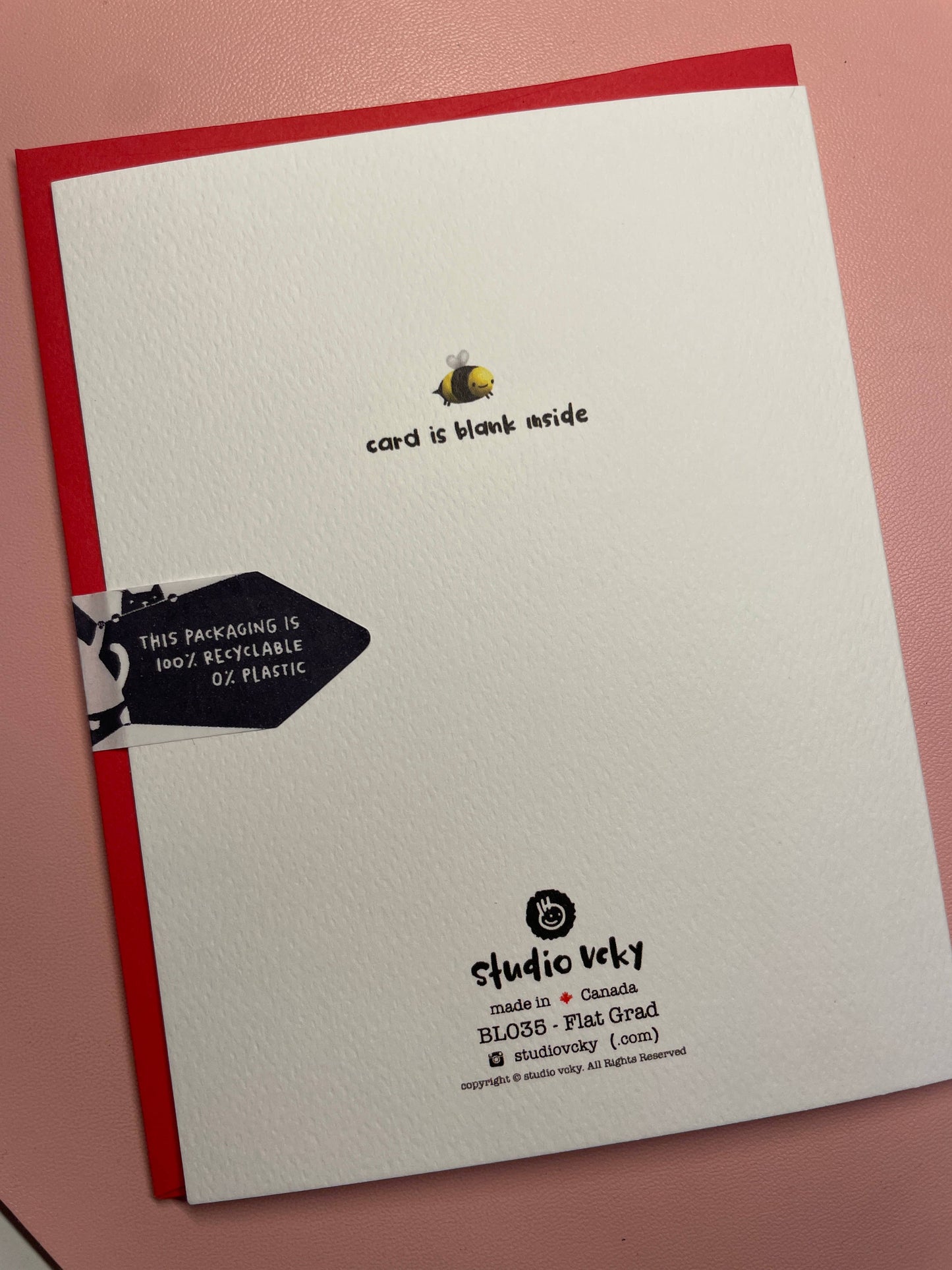 Greeting Card - Raccoon Flat Grad