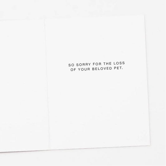Sorry Cats Pet Sympathy Card