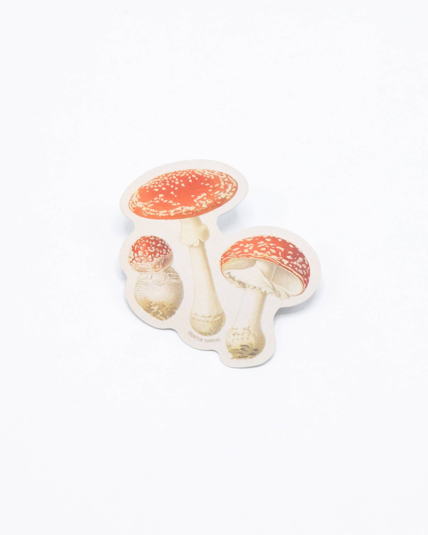 Fly Agaric Poisonous Mushrooms