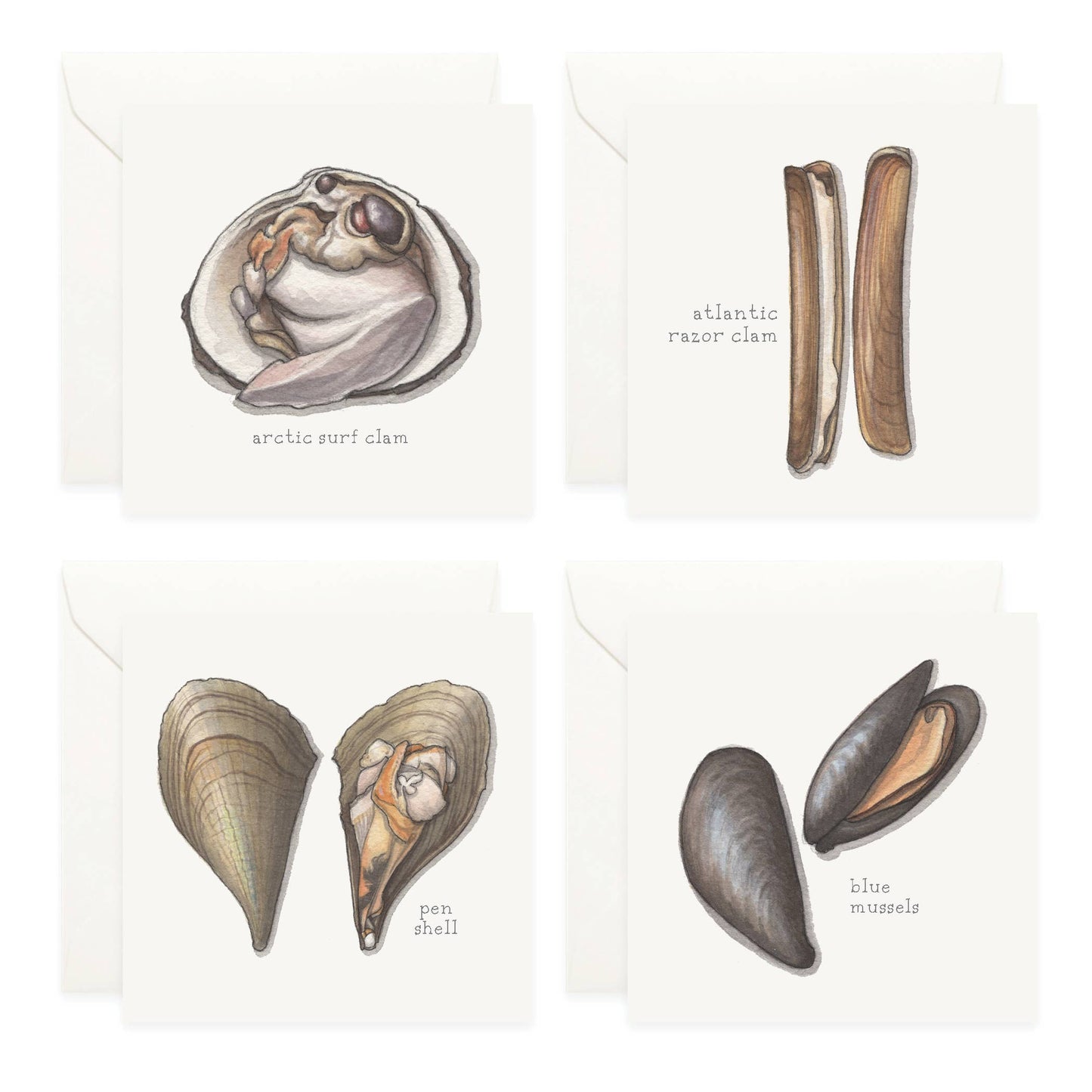 Bivalves Mini Card Assorted