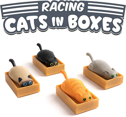 Racing Act In A Boxes