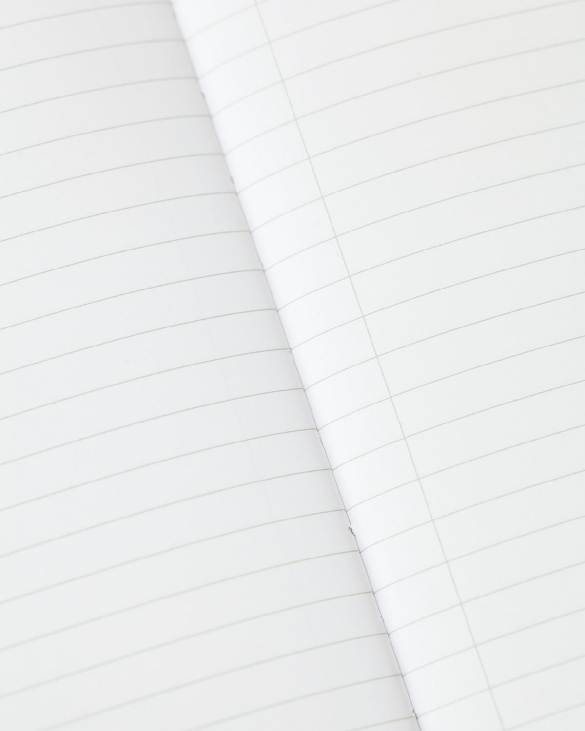 Anatomical Heart Softcover Notebook Lined