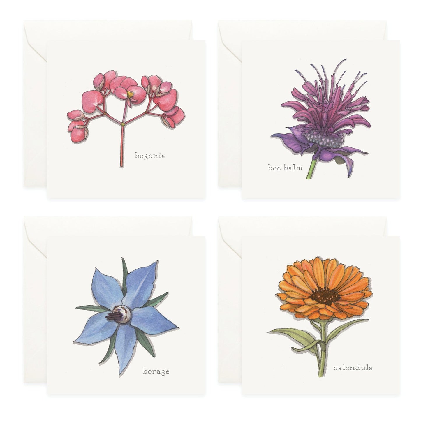 Flowers / Mini Card Assorted