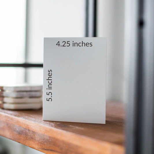 From Our Gnome to Yours Holiday Card