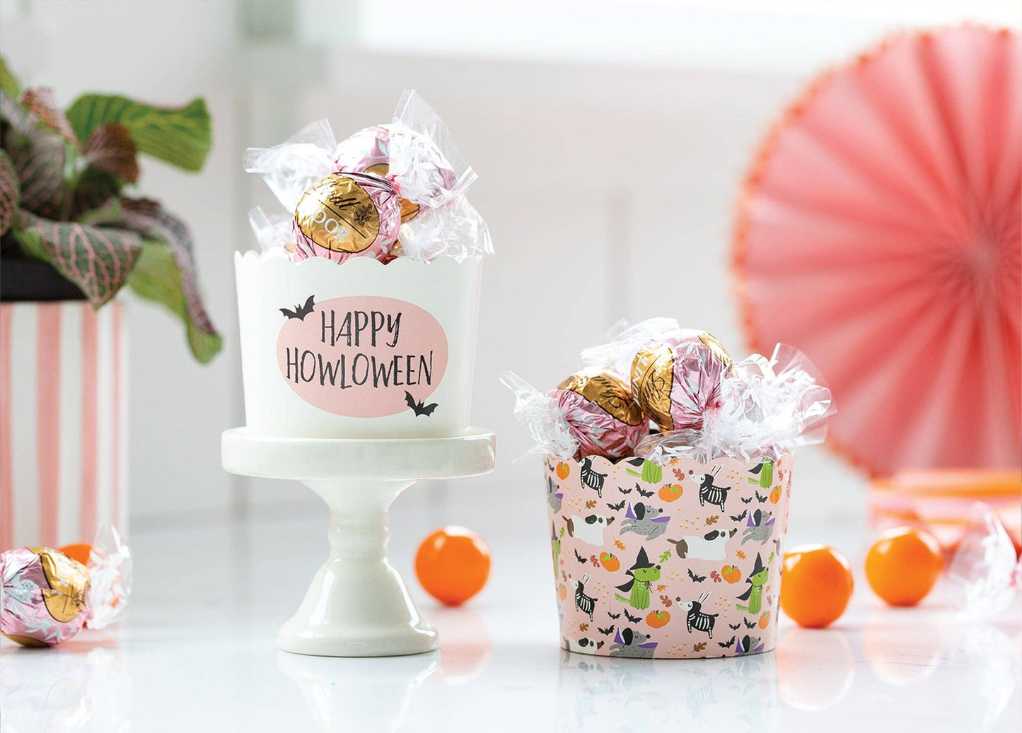 PLCC903 - Howl-oween Food Cups (50 pcs)