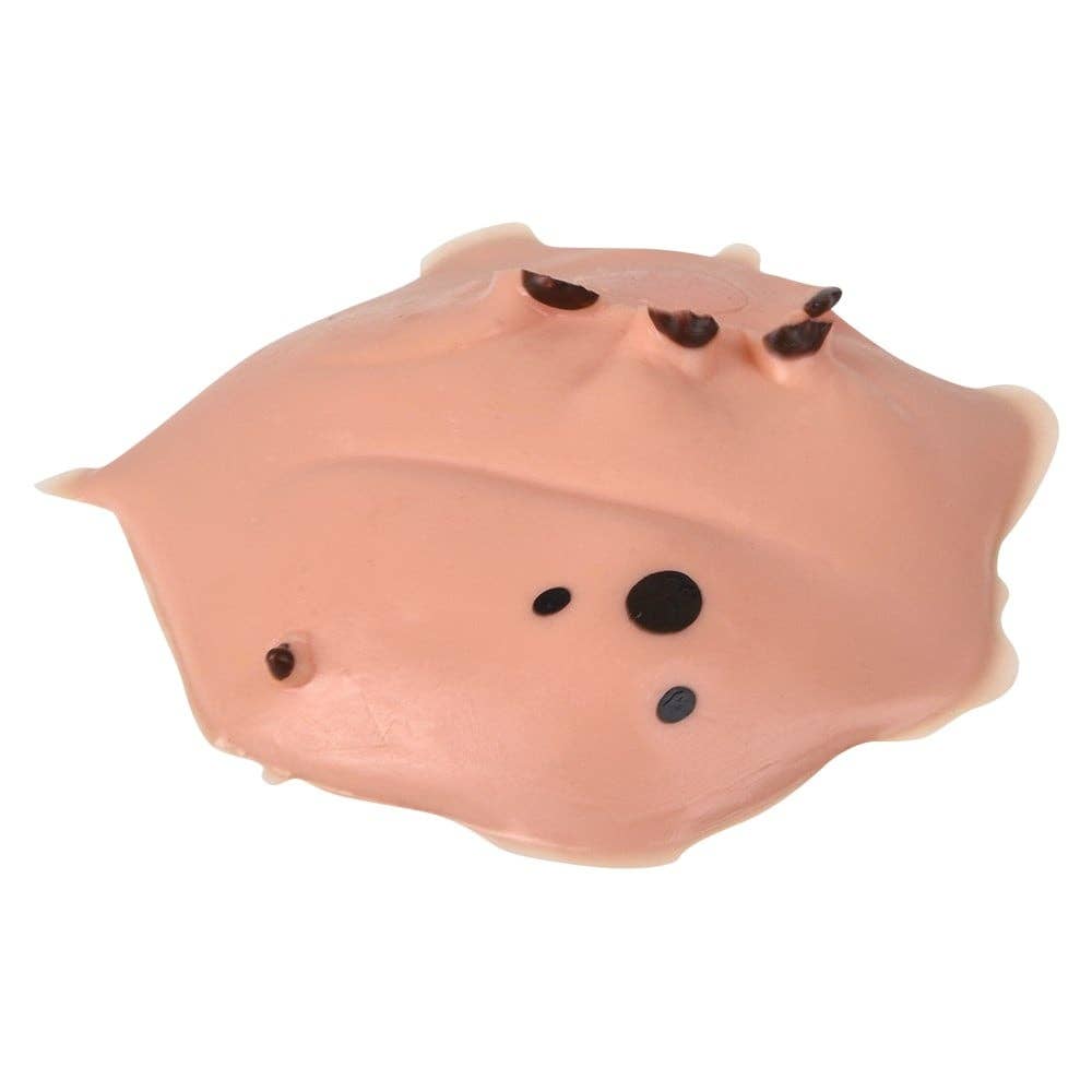 2.5" Splat Capybara