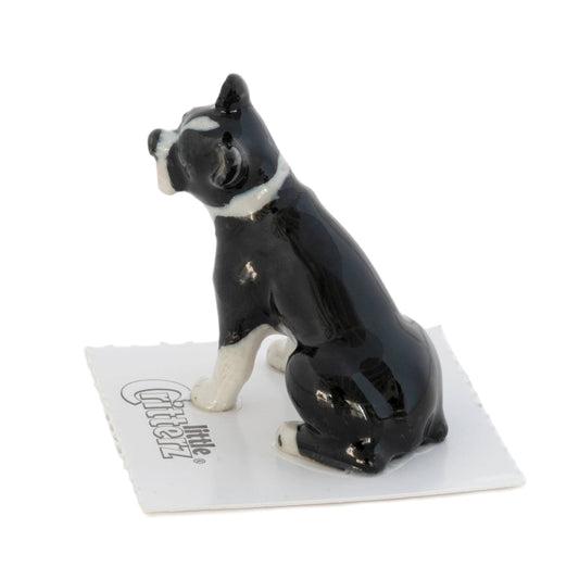 Stubby Boston Terrier Porcelain Miniature