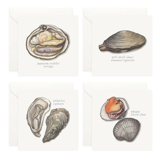 Bivalves Mini Card Assorted