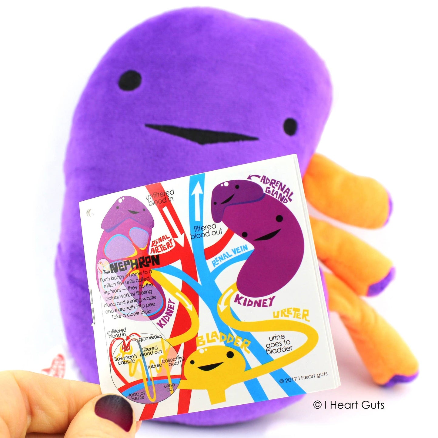 Kidney Plush - When Urine Love