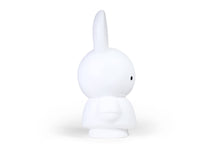 Load image into Gallery viewer, Atelier Pierre Miffy Coin Bank (Large)
