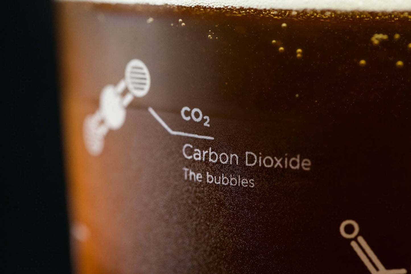 The Science of Beer Pint Glass