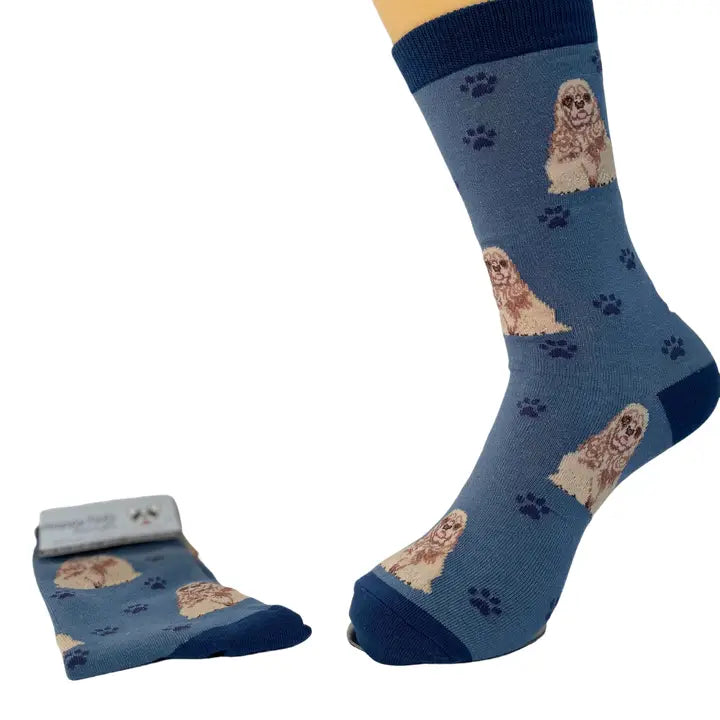 Cocker Spaniel Dog Full Body So