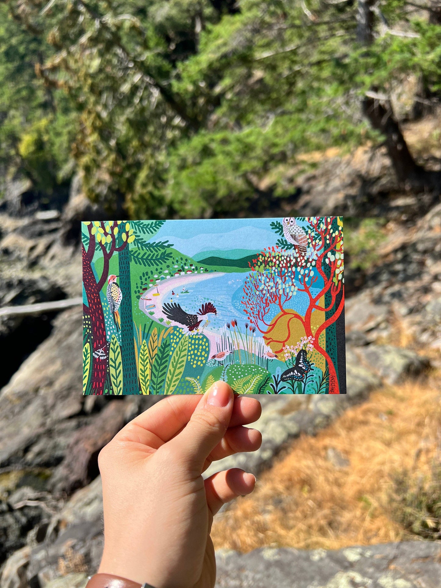 Coastal B.C. Postcard