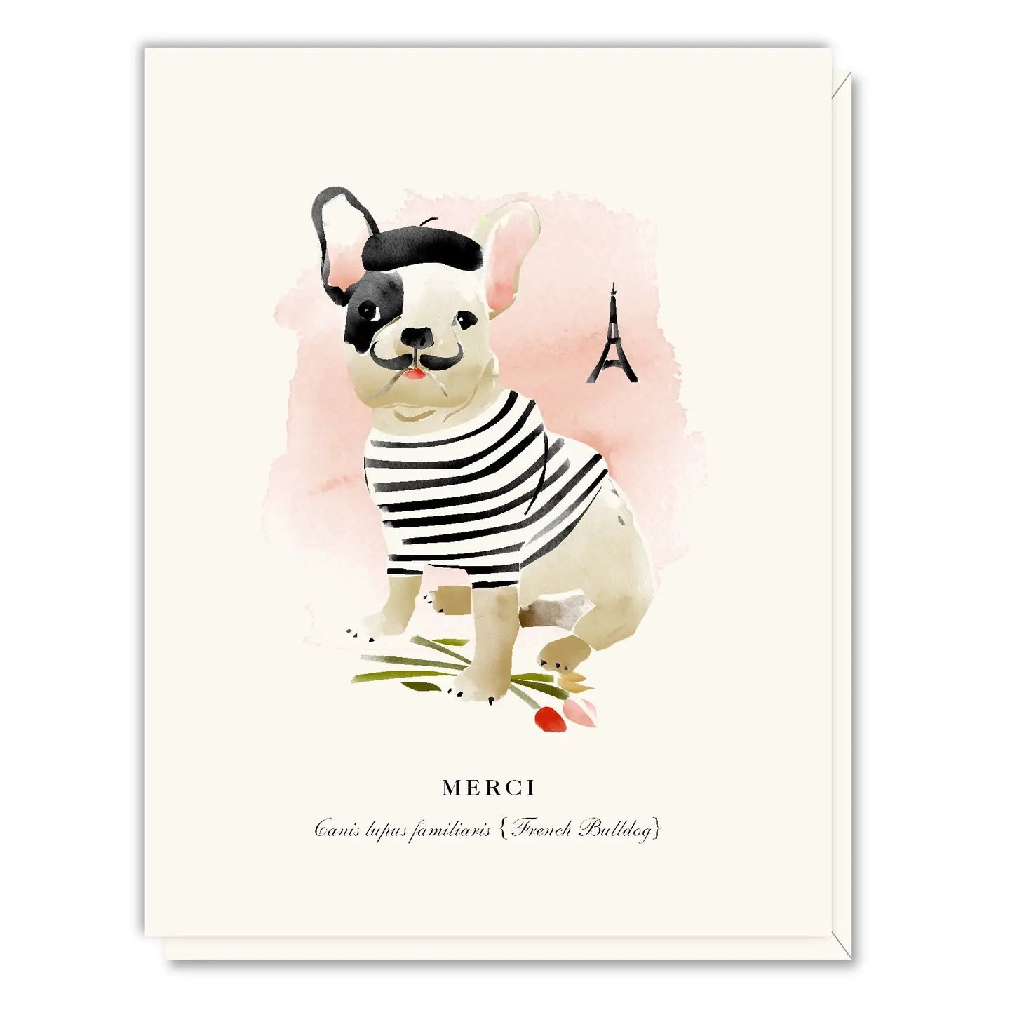Merci Frenchie Card Box Of 8