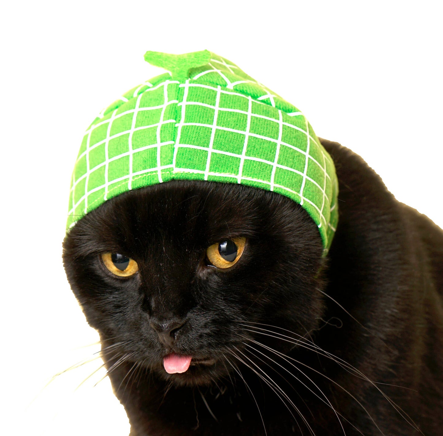 Kitan Club Cat Cap Blind Box - Fruit