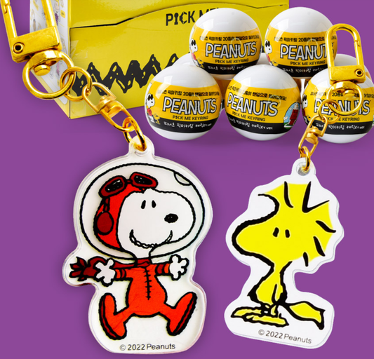 Peanuts Snoopy & Friends Random Key Chain Ring-Bag charm