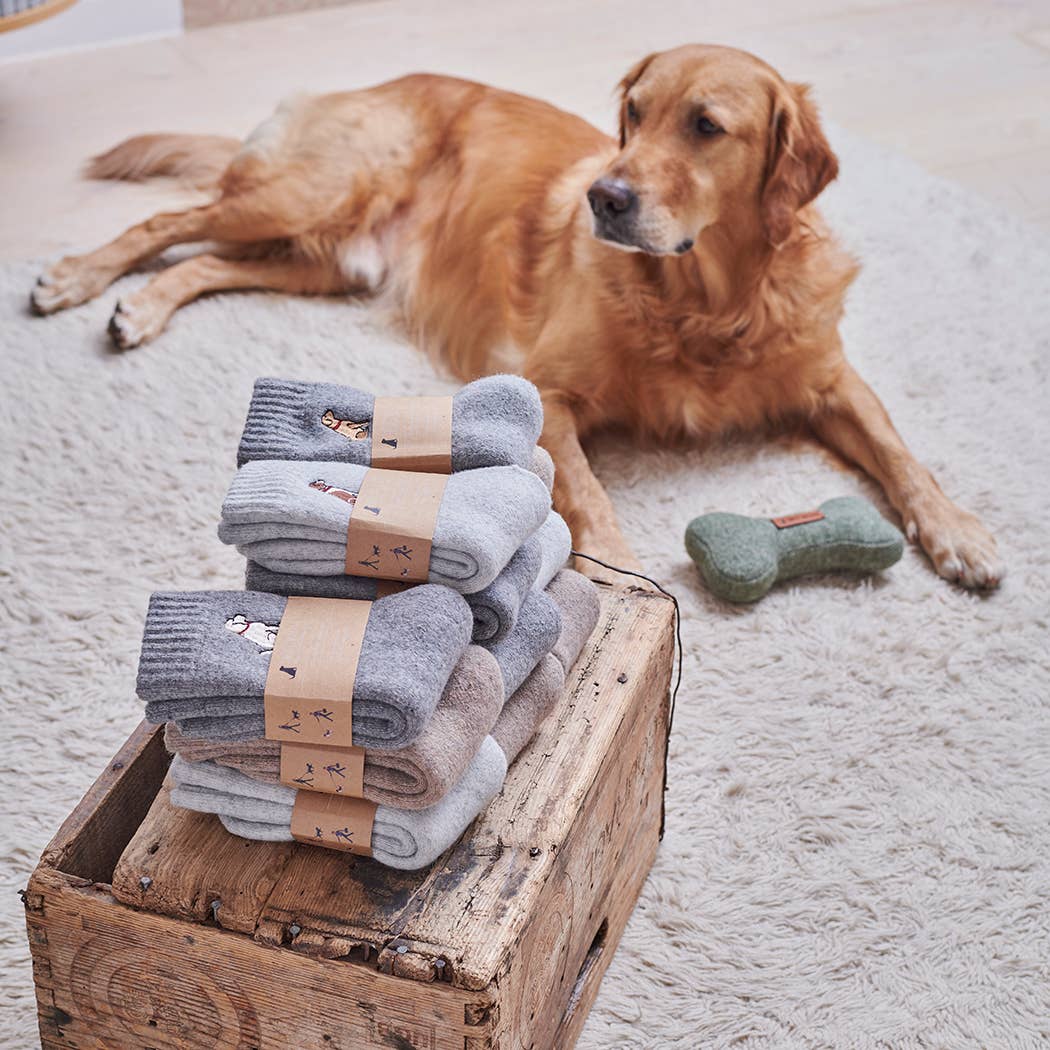 Dog Walking socks - Beagle